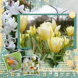 Spring Odyssey Bundled Collection