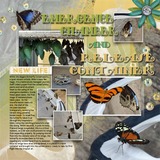 Spring Odyssey Bundled Collection