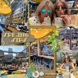 Spring Odyssey Bundled Collection