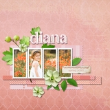 Elegant Patterned Easy Masks & Overlay Bundle