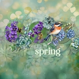 Botanical Spring Bokeh Papers