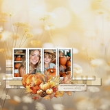 Botanical Light Bokeh Papers