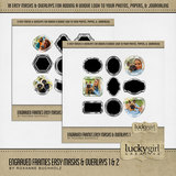 Engraved Frames Easy Masks & Overlays