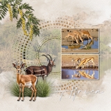 Punched Papers & Easy Masks Bundle 1