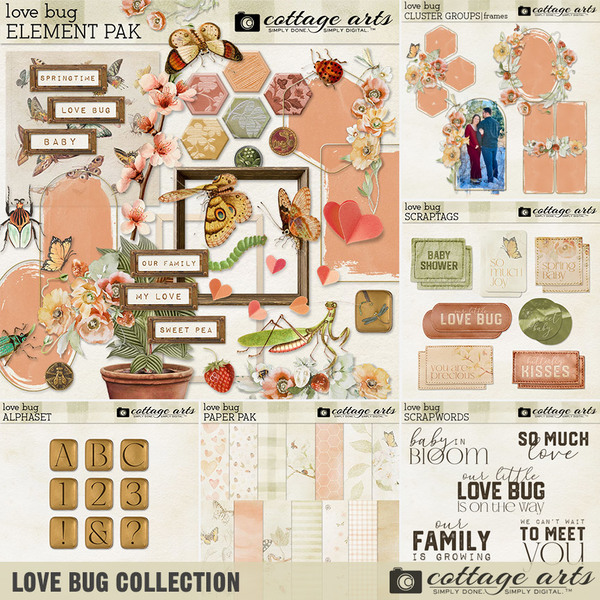 Love Bug Collection Digital Art - Digital Scrapbooking Kits
