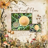 Clustered Border Backgrounds Set 9