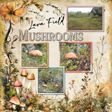 Clustered Border Backgrounds Set 9