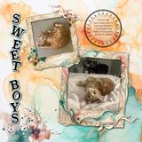 A Fluid State of Mind 4 Mega Bundle