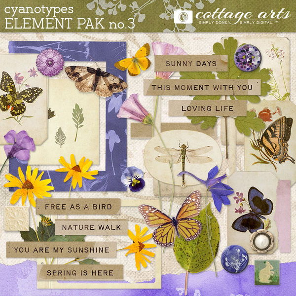 Cyanotypes 3 Element Pak Digital Art - Digital Scrapbooking Kits