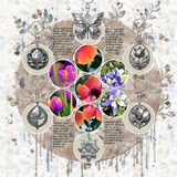 Seasonal Charm - Spring