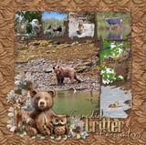 Woodland Prestige Papers