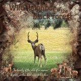 Woodland Prestige Papers