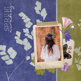 Cyanotypes 3 Paper Pak