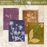 Cyanotypes 3 Collection