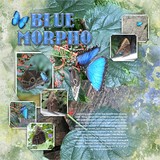 Artistic License In the Flower Garden Watercolor Papers