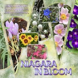 Artistic License In the Flower Garden Watercolor Papers