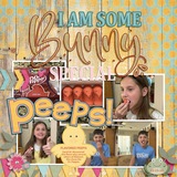 Hippity Hoppity Easter Enhanced Photo Clusters