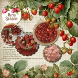 12 Volumes - Vol. 4 - Gather & Grow Bundle