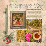 12 Volumes - Vol. 4 - Gather & Grow Bundle