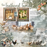 12 Volumes - Vol. 4 - Gather & Grow Bundle