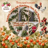 12 Volumes - Vol. 4 - Gather & Grow Bundle