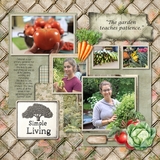 12 Volumes - Vol. 4 - Gather & Grow Bundle