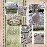 12 Volumes - Vol. 4 - Gather & Grow Bundle