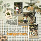 12 Volumes - Vol. 4 - Gather & Grow Bundle