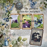 12 Volumes - Vol. 4 - Gather & Grow Bundle