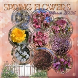 Engraved Frames Easy Masks & Overlays