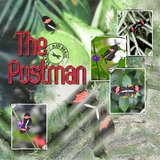 Artistic License Template Trio 08