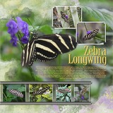 Artistic License Layer Lovers 06