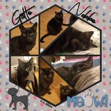 Everyday Enhanced Hexagon Photo Clusters