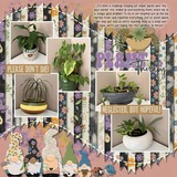 Crazy Plant Lady Gnomes