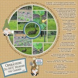 Crazy Plant Lady Gnomes