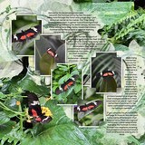 Artistic License Template Trio 05