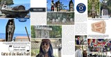 Travel Notes - Tourist Traps