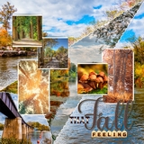 Artistic License Point the Way