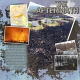 Artistic License 50 Masked Moments - Straight Up