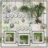 Seasonal Charm - Spring