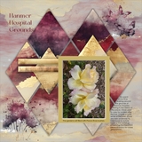 Gilded Horizons - Rich & Moody