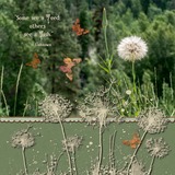 EZ Mask Accents - Butterflies & Dandelions