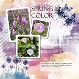 EZ Mask Accents - Butterflies & Dandelions