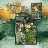 Distressed EZ Masks - Paint 1