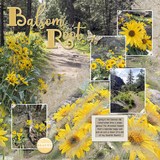 Artistic License Template Trio 08