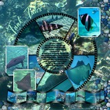 Seatrout Scraps Designer Days Exclusive Bundle 01 - May 2026