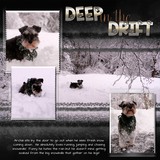 Seatrout Scraps Designer Days Exclusive Bundle 03 - May 2026