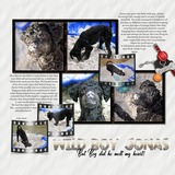 Title Trio - Paws Galore