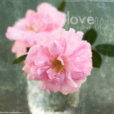 Chalkboard Collection