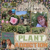 Crazy Plant Lady Enhanced Photo Clusters